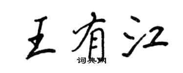 王正良王有江行書個性簽名怎么寫