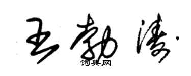 朱錫榮王勃濤草書個性簽名怎么寫