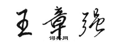 駱恆光王章強行書個性簽名怎么寫