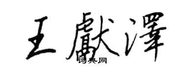 王正良王獻澤行書個性簽名怎么寫