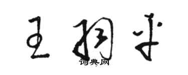 駱恆光王羽平草書個性簽名怎么寫