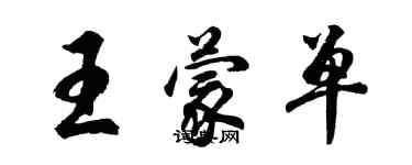 胡問遂王蒙單行書個性簽名怎么寫