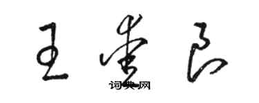 駱恆光王愛良草書個性簽名怎么寫