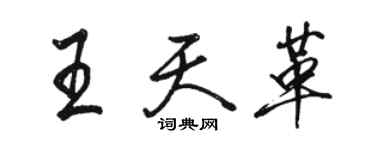 駱恆光王天革行書個性簽名怎么寫