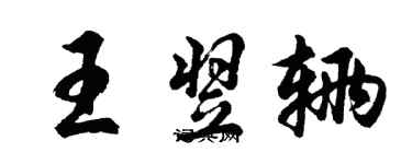 胡問遂王翌輛行書個性簽名怎么寫