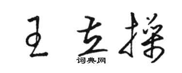 駱恆光王立操草書個性簽名怎么寫