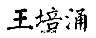 翁闓運王培涌楷書個性簽名怎么寫