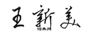 駱恆光王新美行書個性簽名怎么寫