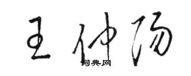 駱恆光王仲陽草書個性簽名怎么寫