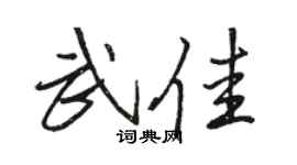 駱恆光武佳行書個性簽名怎么寫