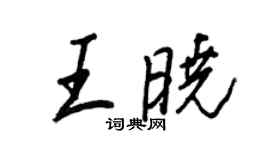 王正良王曉行書個性簽名怎么寫