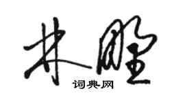 駱恆光林野草書個性簽名怎么寫