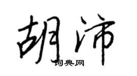 王正良胡沛行書個性簽名怎么寫