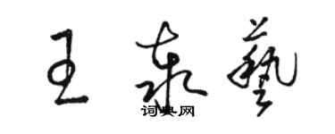 駱恆光王泰藝草書個性簽名怎么寫