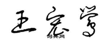 曾慶福王宏鶯草書個性簽名怎么寫