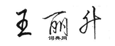 駱恆光王麗升行書個性簽名怎么寫