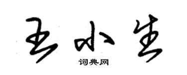 朱錫榮王小生草書個性簽名怎么寫
