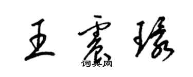 梁錦英王震環草書個性簽名怎么寫