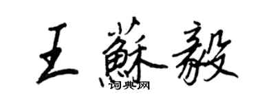 王正良王蘇毅行書個性簽名怎么寫