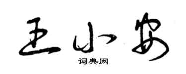 曾慶福王小安草書個性簽名怎么寫