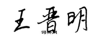 王正良王晉明行書個性簽名怎么寫