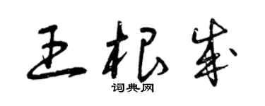 曾慶福王根成草書個性簽名怎么寫