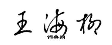 梁錦英王海柳草書個性簽名怎么寫