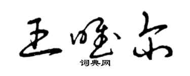 曾慶福王唯爾草書個性簽名怎么寫