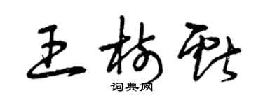 曾慶福王樹獻草書個性簽名怎么寫