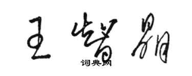 駱恆光王智晶草書個性簽名怎么寫