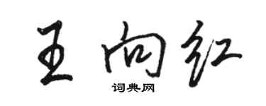 駱恆光王向紅行書個性簽名怎么寫