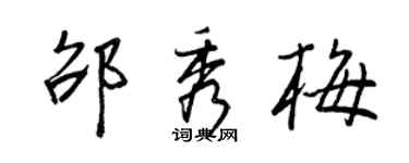 王正良邵秀梅行書個性簽名怎么寫