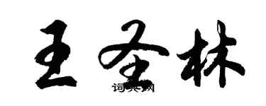 胡問遂王聖林行書個性簽名怎么寫