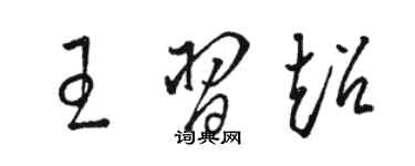 駱恆光王習超草書個性簽名怎么寫