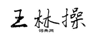 曾慶福王林操行書個性簽名怎么寫