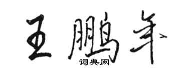 駱恆光王鵬年行書個性簽名怎么寫