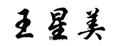 胡問遂王星美行書個性簽名怎么寫