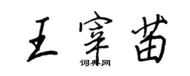 王正良王宰苗行書個性簽名怎么寫