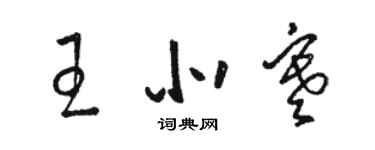 駱恆光王北寒草書個性簽名怎么寫