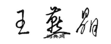 駱恆光王燕晶草書個性簽名怎么寫