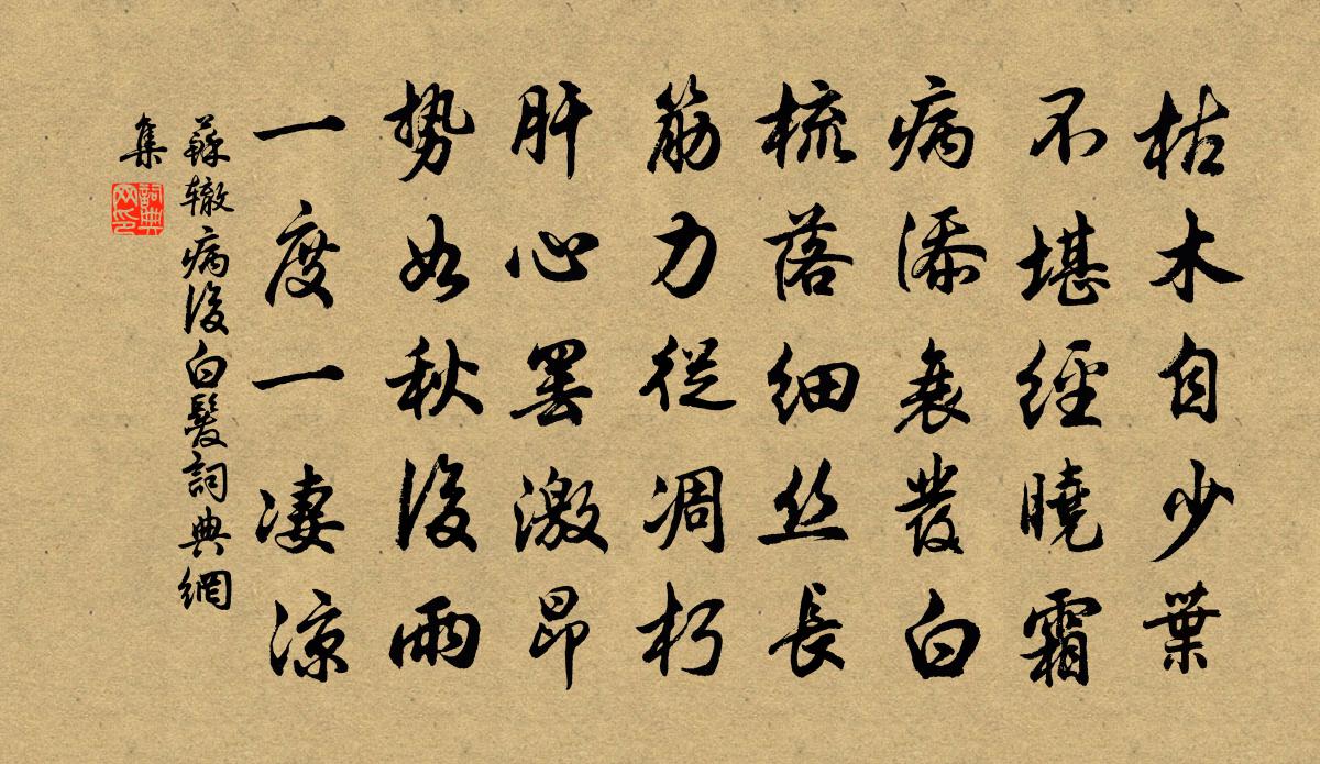 蘇轍病後白髮書法作品欣賞