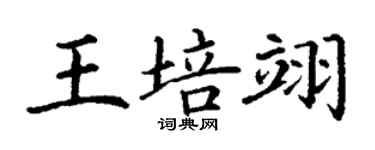 丁謙王培翊楷書個性簽名怎么寫