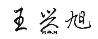 駱恆光王興旭行書個性簽名怎么寫