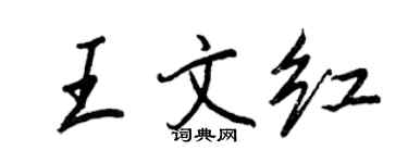 王正良王文紅行書個性簽名怎么寫