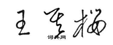 駱恆光王其櫻草書個性簽名怎么寫