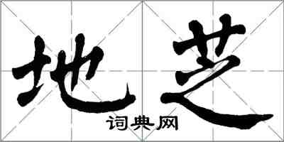 翁闓運地芝楷書怎么寫