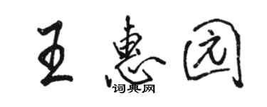 駱恆光王惠園行書個性簽名怎么寫