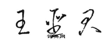 駱恆光王聖君草書個性簽名怎么寫