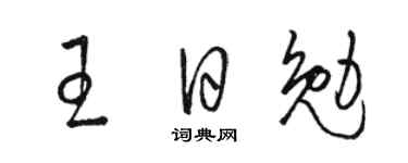 駱恆光王日勉草書個性簽名怎么寫