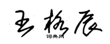 朱錫榮王格辰草書個性簽名怎么寫